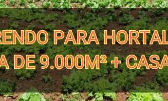 Imagem: Arrendo área 9.000m² p/ Plantio hortaliças
