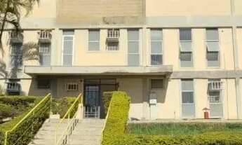 Imagem 6: COMERCIAL - MACUCO - SP