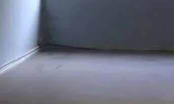 Imagem 2: Sala para alugar, 21 m² por R$ 2.478,00/mês - Tatuapé - São Paulo/SP