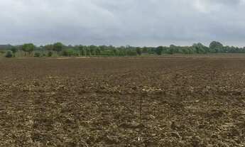 Imagem 3: Terreno barato em Ibiúna, doc garantida