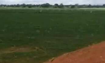 Imagem 5: Fazenda 413 Alqueires, 20 km da cidade; ??Casa sede em construção; ??Casa vaqueiro; ??Curr