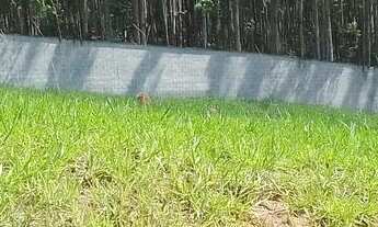 Imagem 7: Terreno Village Paraybuna 1032 m2