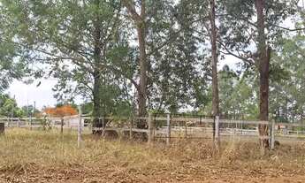 Imagem 3: Imóvel para venda com 2000 metros quadrados em Campos Dourados - Aragoiânia - GO