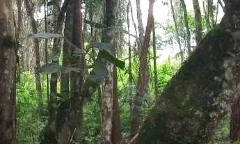 Imagem: Terreno à venda, 500 m² por R$ 360.000,00