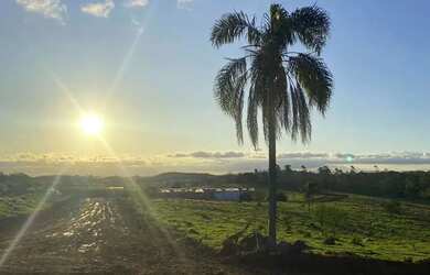 Imagem 6: Imóvel para venda tem 1000 metros quadrados em Centro - Jacareí - SP