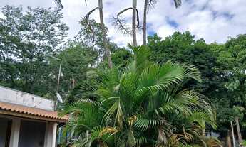 Imagem 6: Chácara para venda