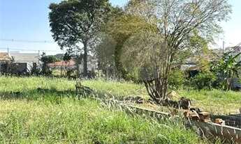 Imagem 4: Chácara à venda em Chácara Alvorada - SP