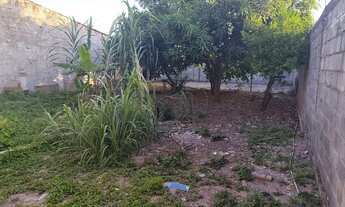 Imagem 5: Terreno no santo Antônio na rua do lado de Alaíde