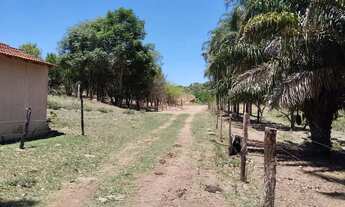Imagem 5: Excelente fazenda para venda tem 943400 metros quadrados com 3 quartos