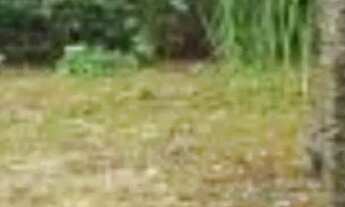 Imagem: Aluguel quartos are charmosa do horto