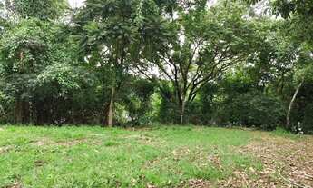 Imagem 5: VENDO!!! Uma fazenda de 290 hectares na beira do rio manso com 400 metros de mar