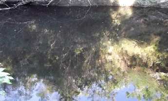 Imagem 6: Jaboticatrubas!!!terreno rural de 60 mil metros As Margens do Rio * ZAP Guilherme