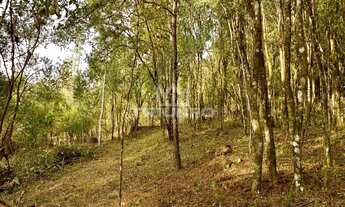 Imagem 7: SÍTIO com vista !!