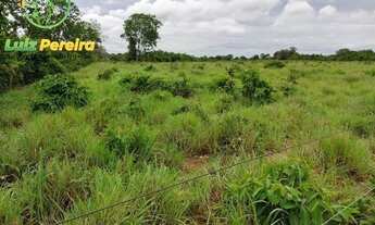 Imagem 5: FAZENDA À VENDA NO FORMOSO DO ARAGUAIA -TO - 2,008 HECTARES (DUPLA APTIDÃO