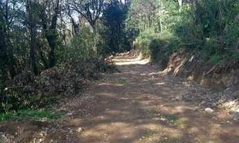Imagem 3: CAXIAS DO SUL - Terreno Padrão - Vila Lobos