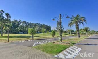 Imagem 5: PORTO ALEGRE - Terreno Padrão - Terra Ville