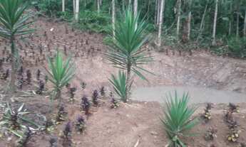 Imagem 7: Sitio Terreno / lote com venda por R$235.000