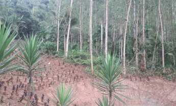 Imagem 6: Sitio Terreno / lote com venda por R$235.000