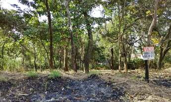 Imagem 7: LOTE 419M² JARDIM PETROPOLIS