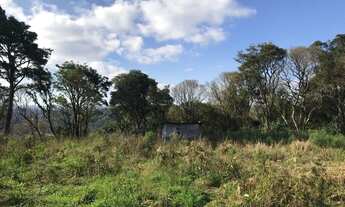 Imagem: CAXIAS DO SUL - Terreno Padrão - Vila Lobos