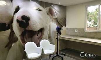 Imagem 2: Apartamento à venda no Butantã com 3 dormitórios por R$ 660 mil com 108 m² - São Paulo/SP