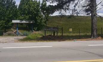 Imagem 3: Fazenda Bonanza Sao Francisco de paula