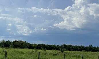 Imagem: FAZENDA Á VENDA NO FORMOSO DO ARAGUAIA