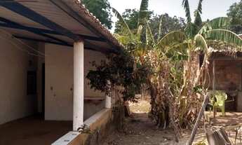 Imagem 7: Chácara coqueirinho 8km de Palmas