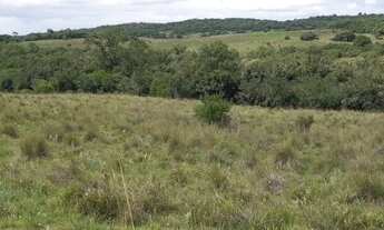 Imagem: Barbada vendo Fazenda com 500 Hectares próximo
