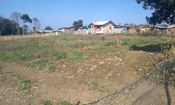 Imagem 7: CAXIAS DO SUL - Terreno Padrão - Vila Lobos