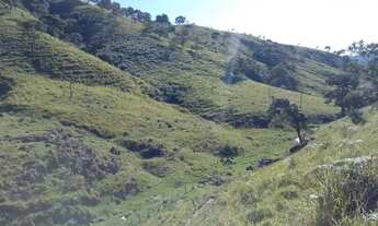 Imagem 3: Sítio de 18,5 Alqueires - São Luiz do Paraitinga - SP
