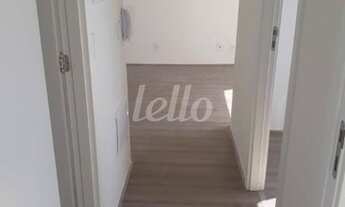 Imagem 3: São Paulo - Apartamento Padrão - Belém