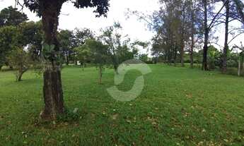 Imagem 3: Sítio com 6 dormitórios à venda, 18500 m² por R$ 900.000,00 - Chácaras de Inoã (Inoã) - Ma