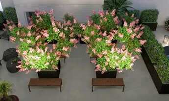 Imagem 2: Apartamento para Venda em São Paulo, Freguesia do Ó, 2 dormitórios, 1 banheiro