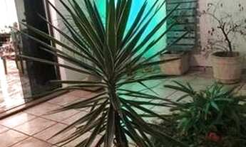 Imagem 5: Casa com 3 dormitórios, 180 m² - venda por R$ 530.000,00 ou aluguel por R$ 2.800,00/mês