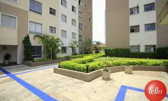 Imagem 7: São Paulo - Apartamento Padrão - São Lucas