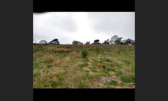 Imagem 2: Terreno para chácara