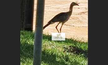 Imagem 2: Casa em condomínio Fechado São Paulo