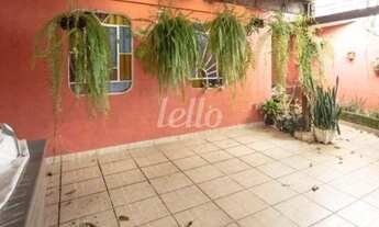 Imagem 6: São Paulo - Casa Padrão - Tatuapé