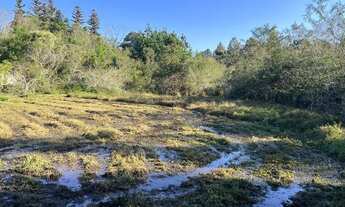 Imagem 2: Sítio Plano E Com Nascente Para Fazer Açude. ROB:150