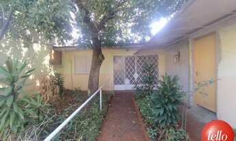 Imagem 3: São Paulo - Terreno Padrão - Tucuruvi