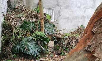 Imagem 5: São Paulo - Casa Padrão - Mooca