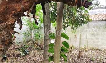 Imagem 3: São Paulo - Casa Padrão - Mooca