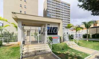 Imagem 4: São Paulo - Apartamento Padrão - São Lucas