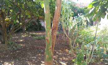 Imagem 7: CACHOEIRINHA - Casa Padrão - Vila Fátima