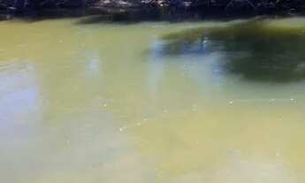 Imagem 3: Fazenda em Lizarda. 20mil dupla aptidão