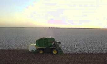 Imagem: Fazenda de 4.800 hectares em Sapezal-MT