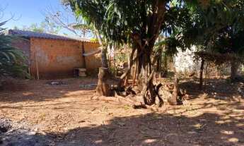 Imagem 5: Chácara 1.600 m² a 15 km de Montes Claros (saída Bocaiuva