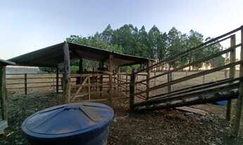 Imagem: CHÁCARA EM ABADIA DE GOIÁS