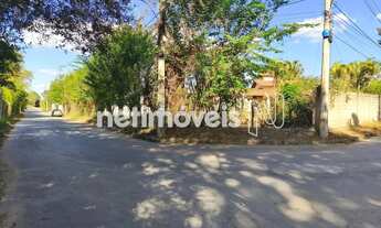 Imagem 2: LOTE PLANO BAIRRO ARBORIZADO